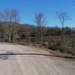 Panzano in Chianti Strade bianche