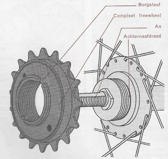 kosten opgroeien Renaissance Onderhoud fiets - vervangen van een freewheel | Vintagefiets