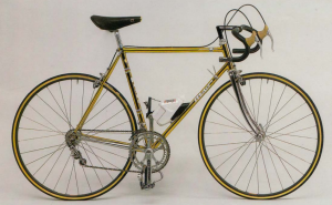 Moser Oro