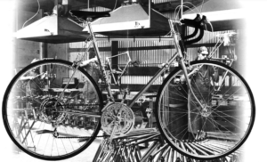 Trek model 1977